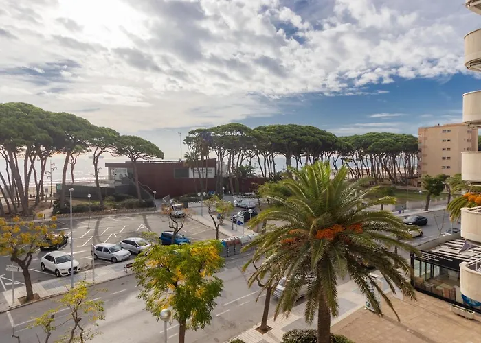 Estudio Delante Del Mar